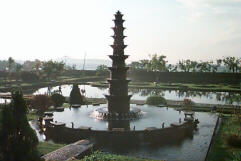 Pool fit for a king, or two sweaty queens?