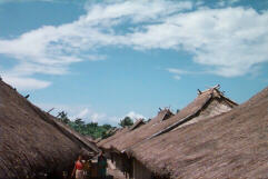 Kampung Sengentar's skyline