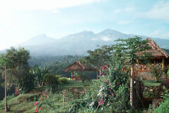 Rinjani as seen from our two-dollar room