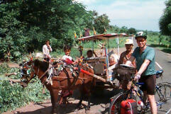 Andy runs a cidomo off the road