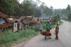 Wanna steal a watch?