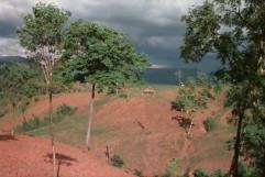 The rainy season cometh