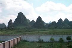 The view from Snake World